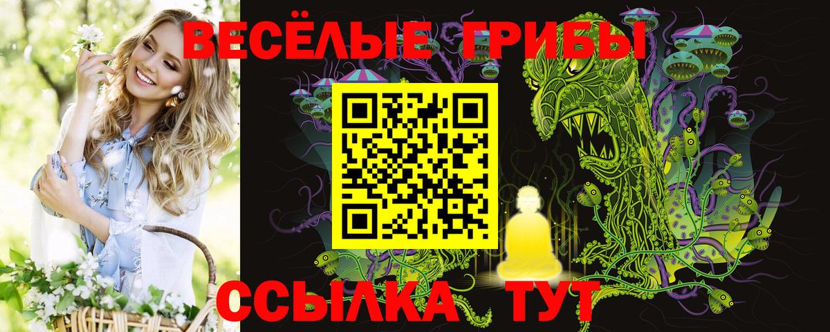 Галлюциногенные грибы мицелий Нерюнгри